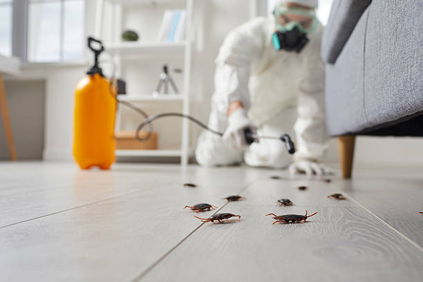 Commercial Kitchen Cockroach Control in Butner